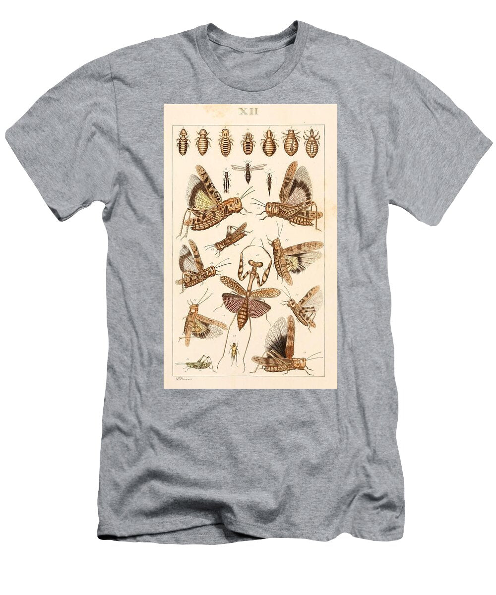 125 Insects Beautiful Nature Prints T-Shirt
