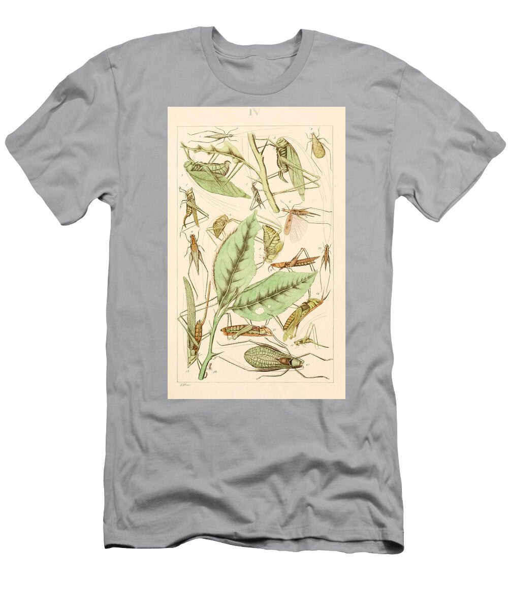 126 Insects Beautiful Nature Prints T-Shirt