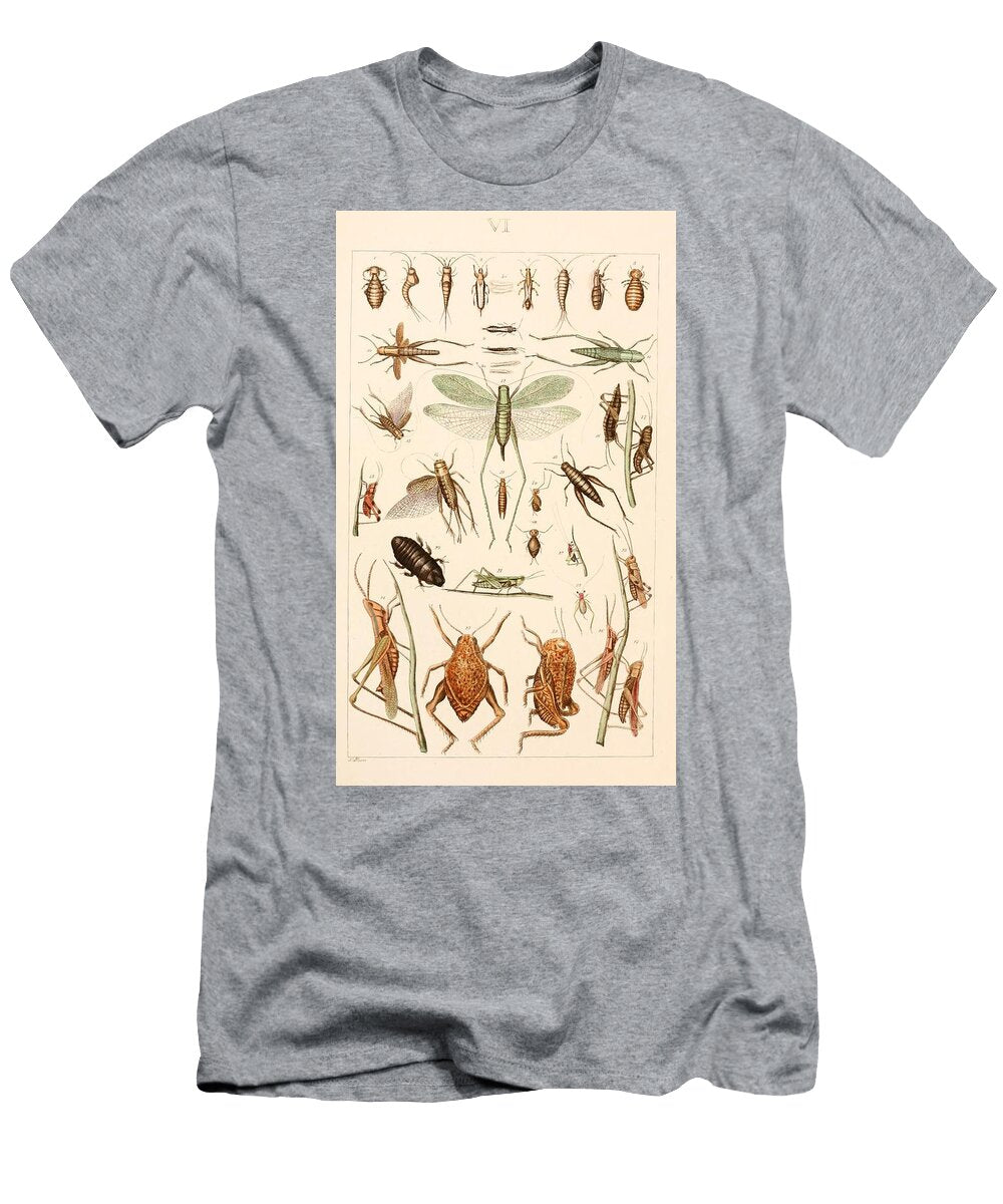 127 Insects Beautiful Nature Prints T-Shirt