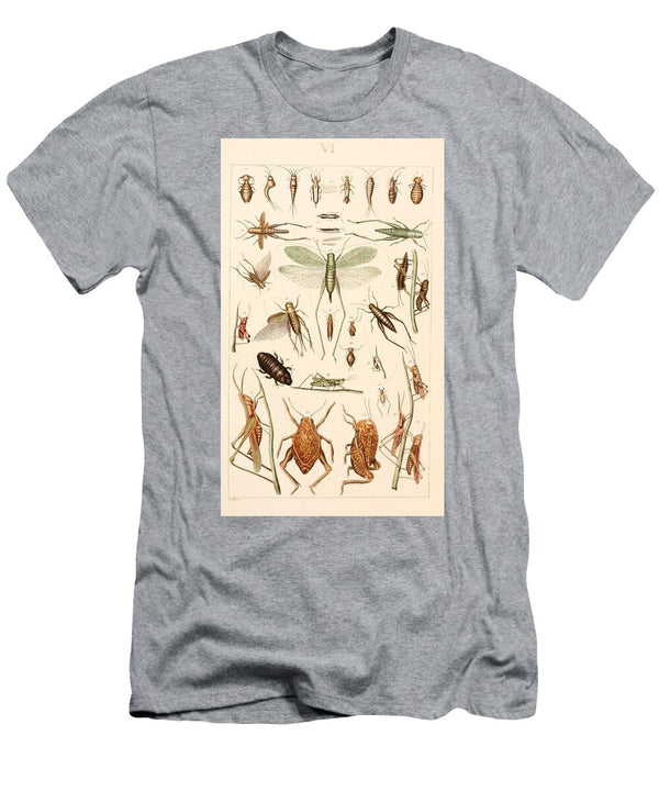 127 Insects Beautiful Nature Prints T-Shirt