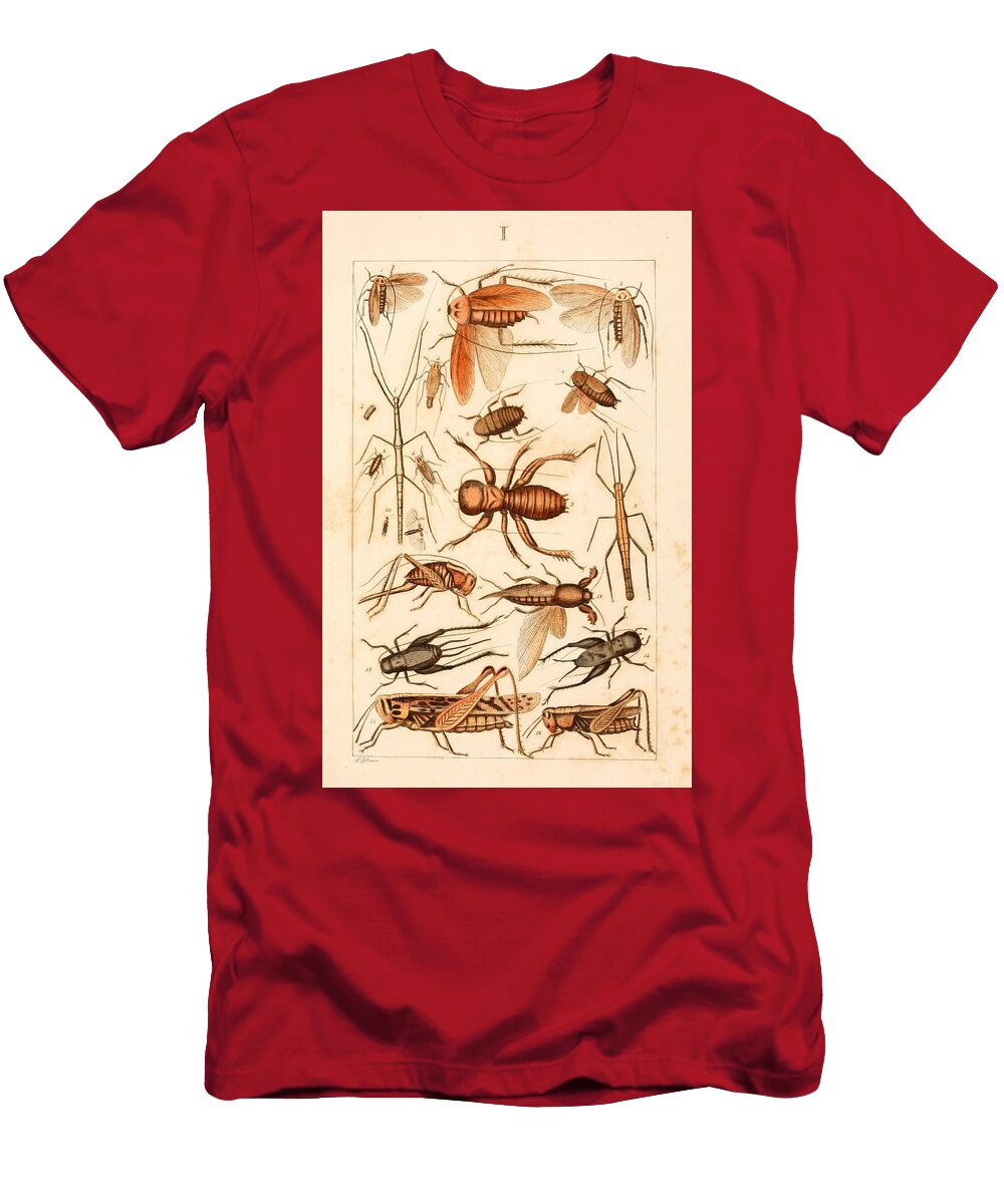 128 Insects Beautiful Nature Prints T-Shirt