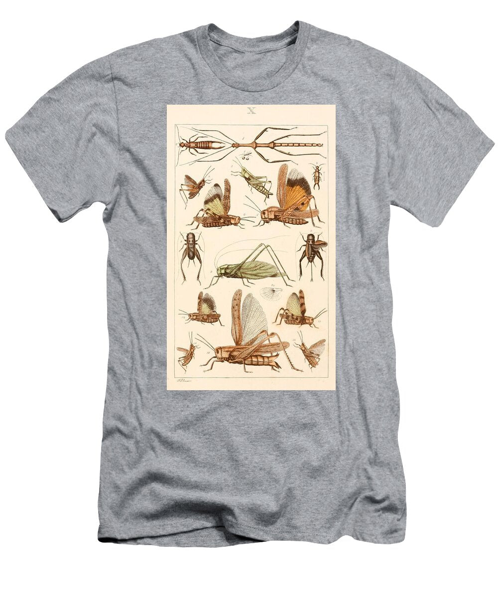 129 Insects Beautiful Nature Prints T-Shirt