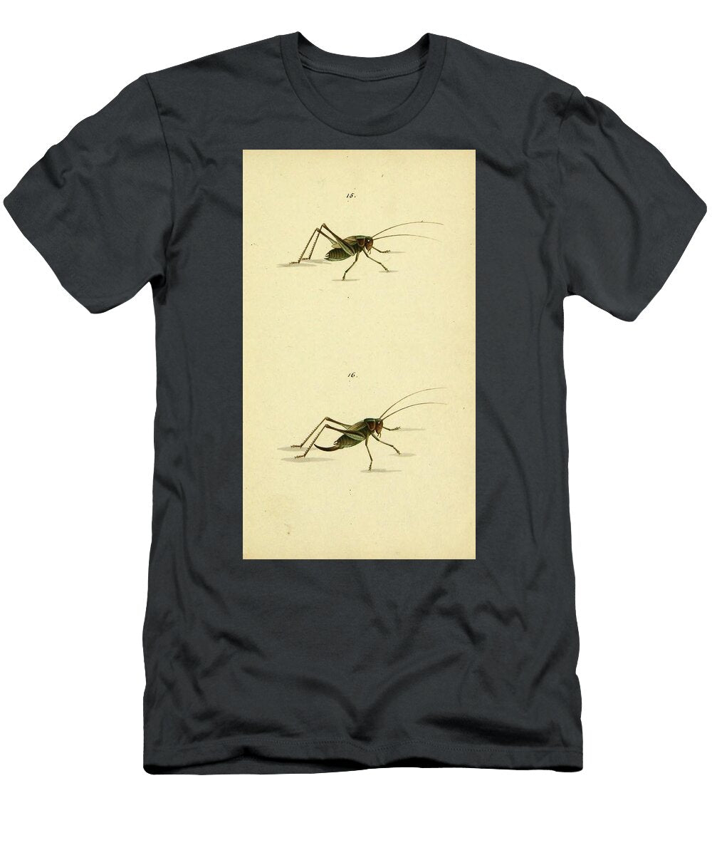 13 Insects Beautiful Nature Prints T-Shirt