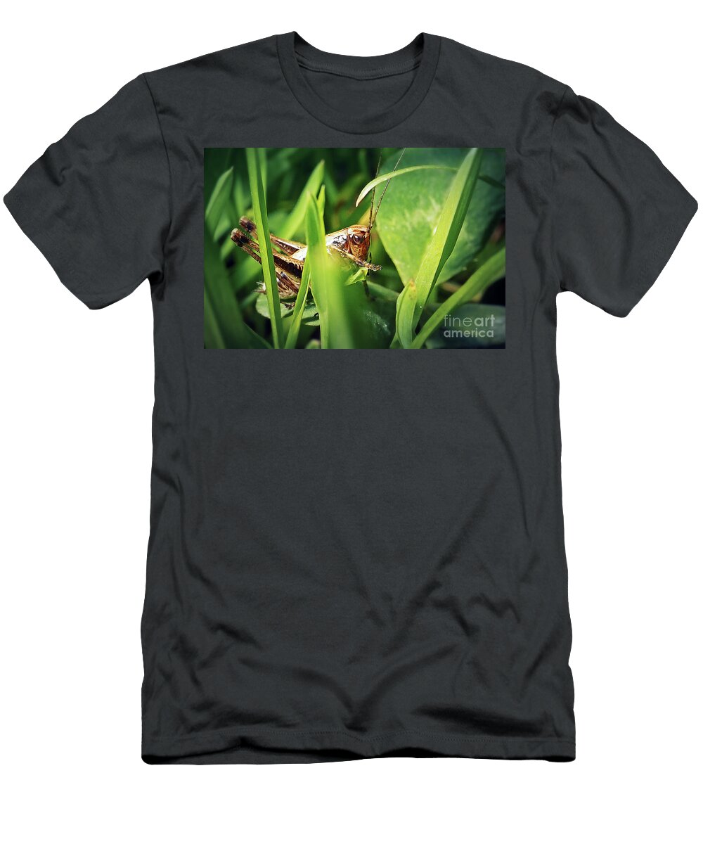13 Pholidoptera Griseoaptera Dark Bush Cricket Nymph Insect Frank Ramspott T-Shirt