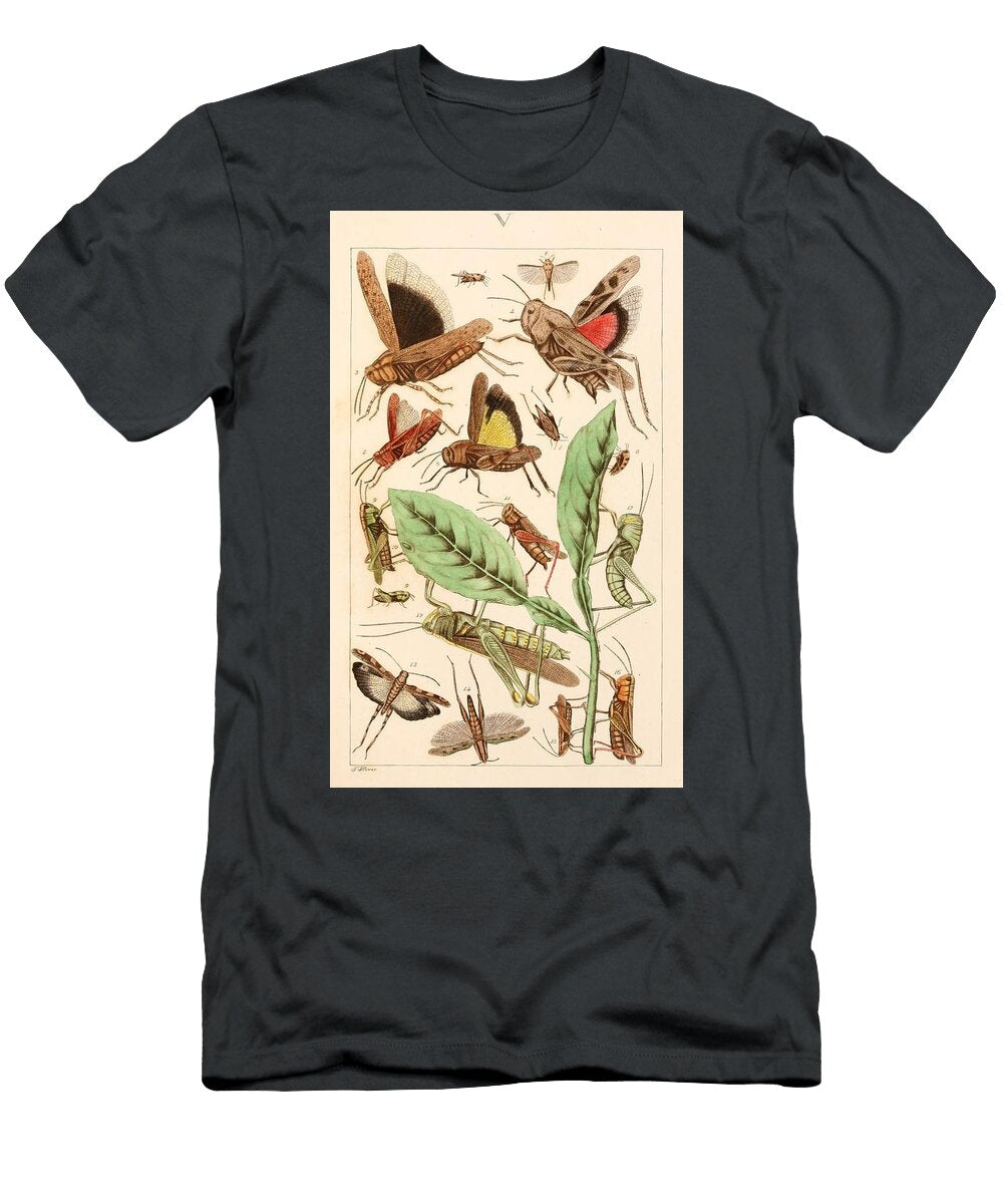 131 Insects Beautiful Nature Prints T-Shirt