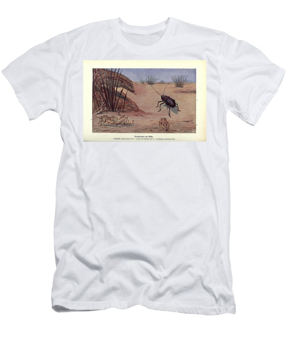 132 Insects Beautiful Nature Prints T-Shirt
