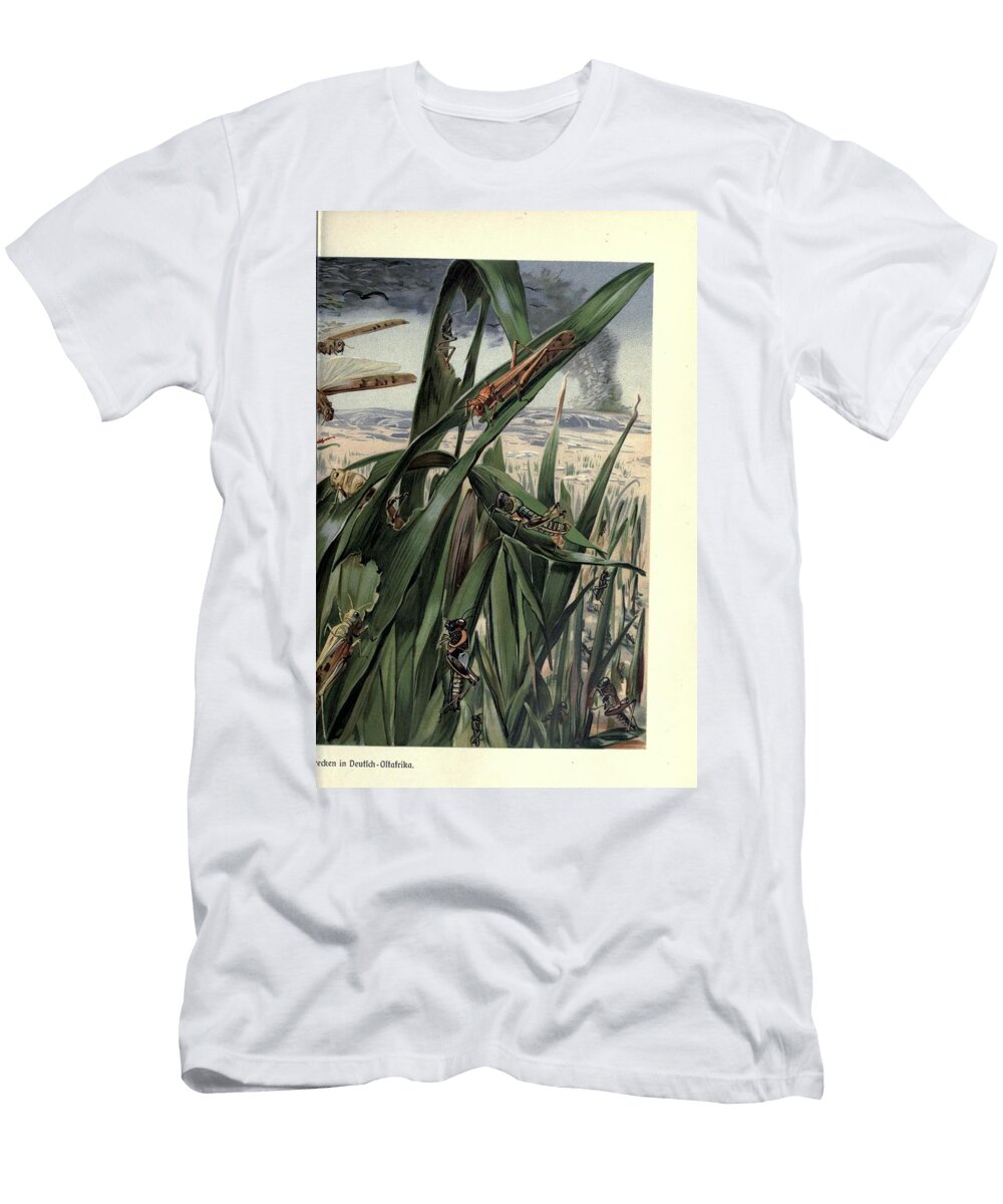 133 Insects Beautiful Nature Prints T-Shirt