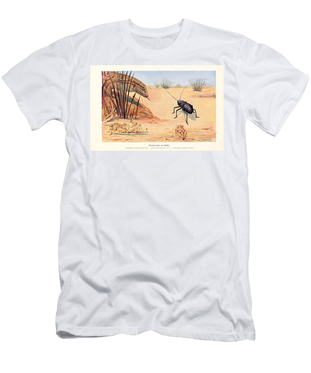 135 Insects Beautiful Nature Prints T-Shirt