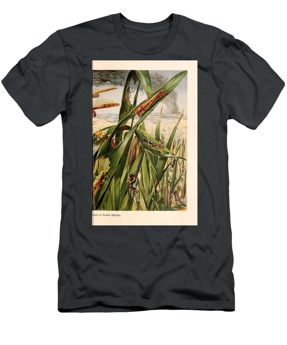 136 Insects Beautiful Nature Prints T-Shirt