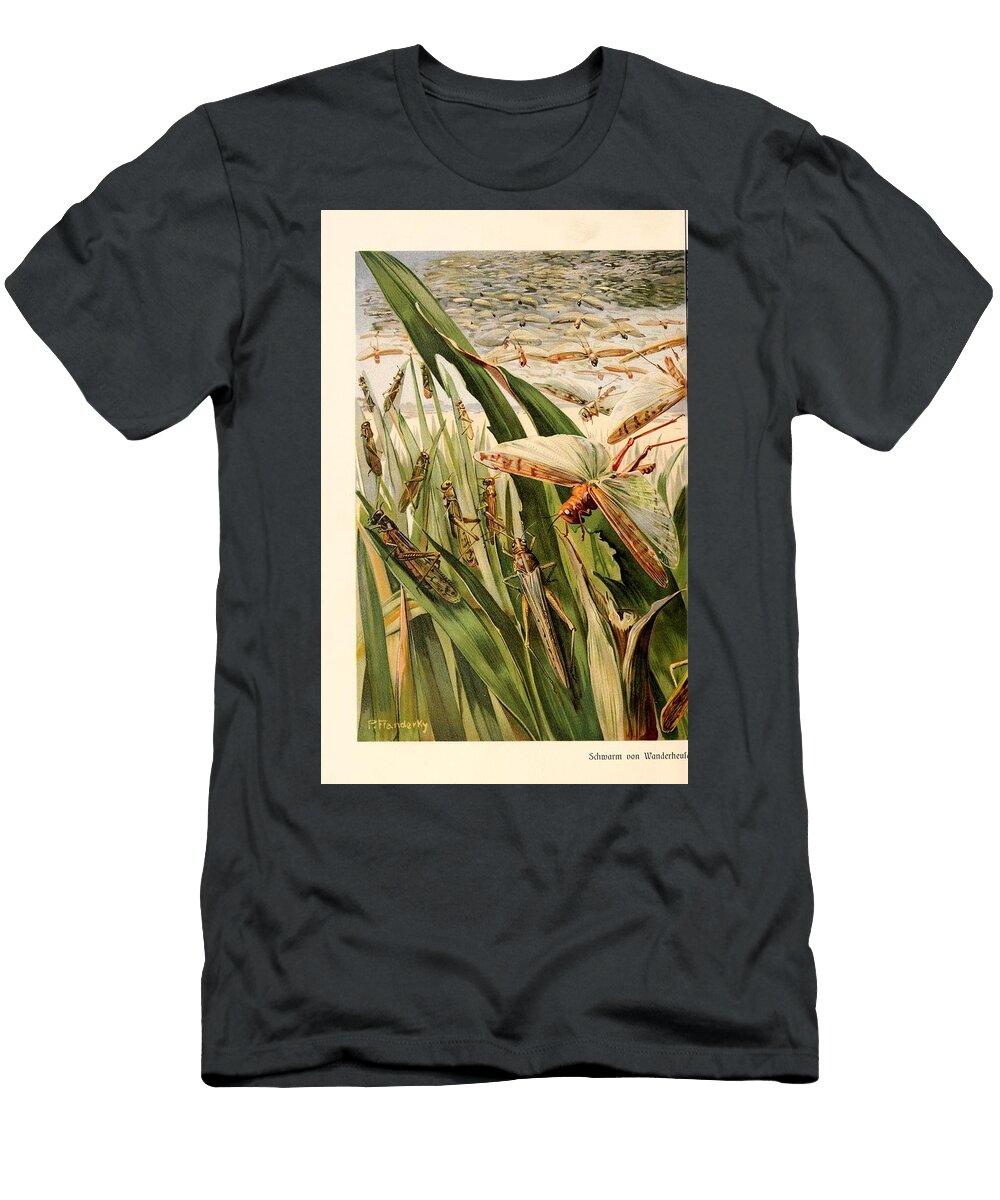 137 Insects Beautiful Nature Prints T-Shirt