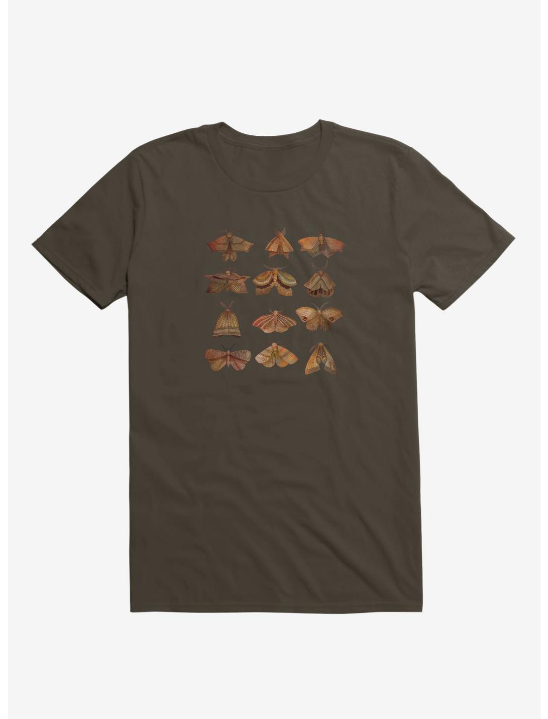 T-shirt collectionneur de papillons de nuit