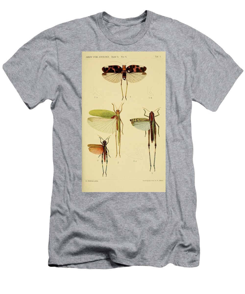 138 Insects Beautiful Nature Prints T-Shirt