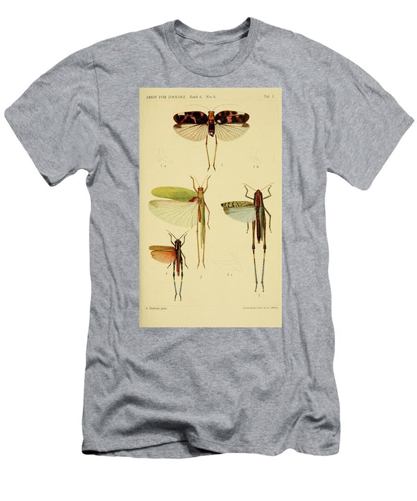 138 Insects Beautiful Nature Prints T-Shirt