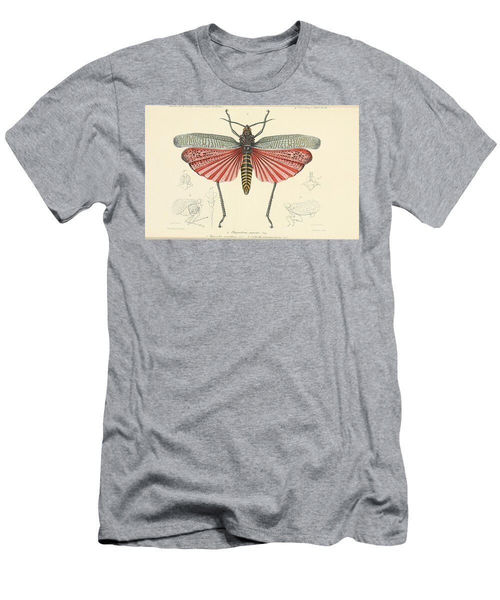 139 Insects Beautiful Nature Prints T-Shirt