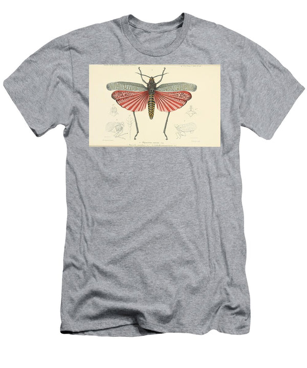 139 Insects Beautiful Nature Prints T-Shirt