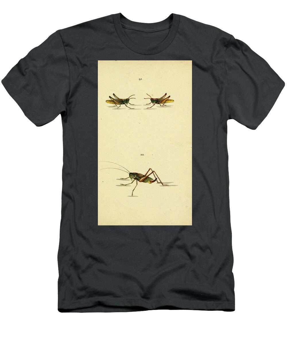 14 Insects Beautiful Nature Prints T-Shirt