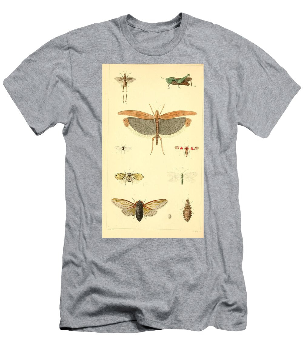 141 Insects Beautiful Nature Prints T-Shirt