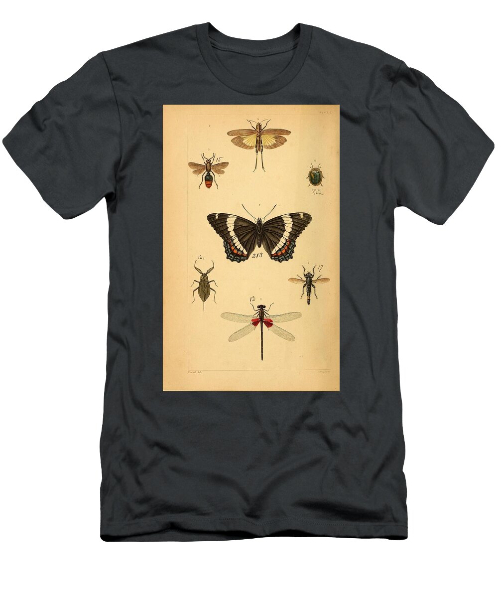 142 Insects Beautiful Nature Prints T-Shirt
