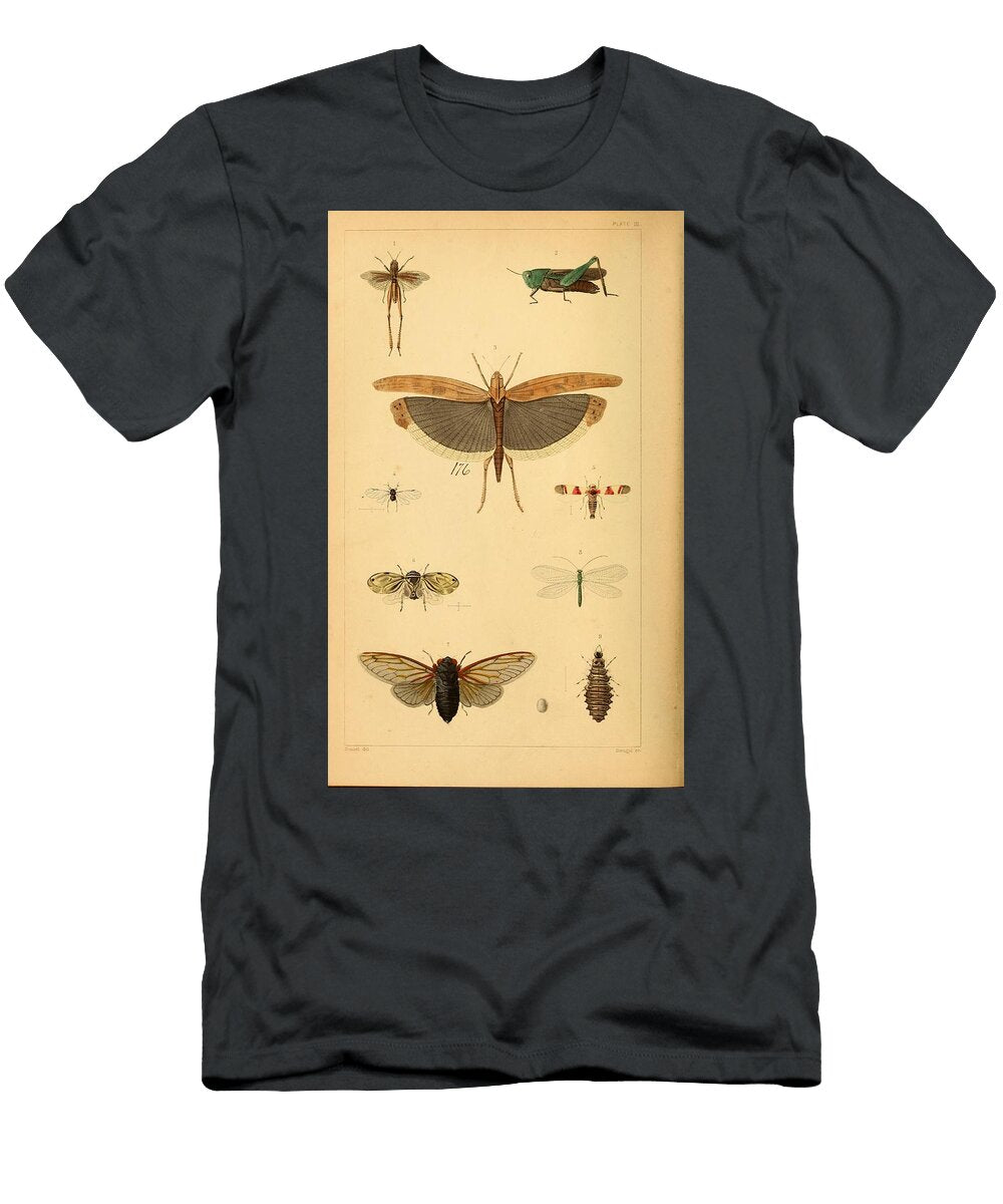 143 Insects Beautiful Nature Prints T-Shirt