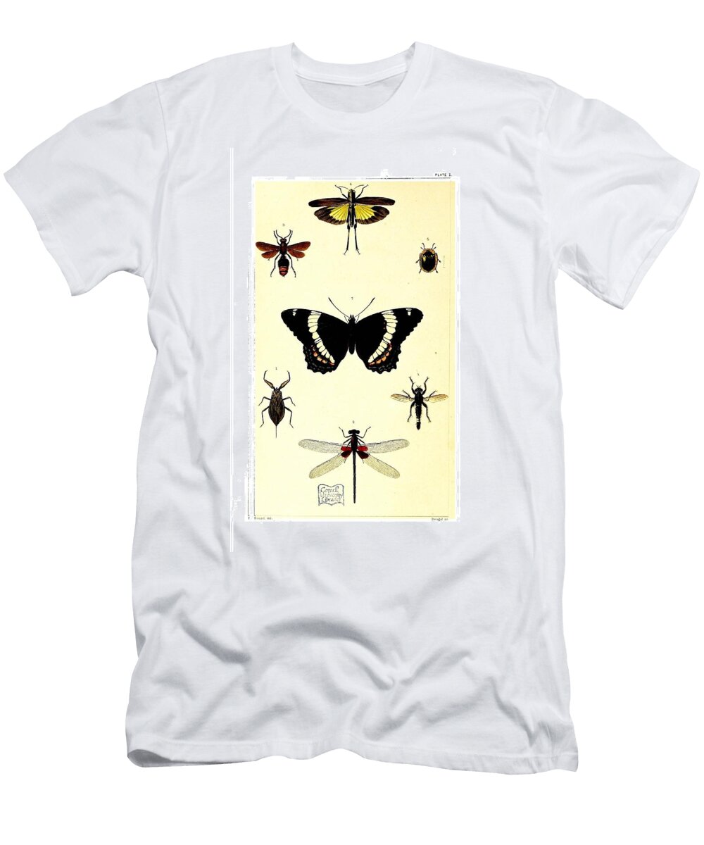 144 Insects Beautiful Nature Prints T-Shirt