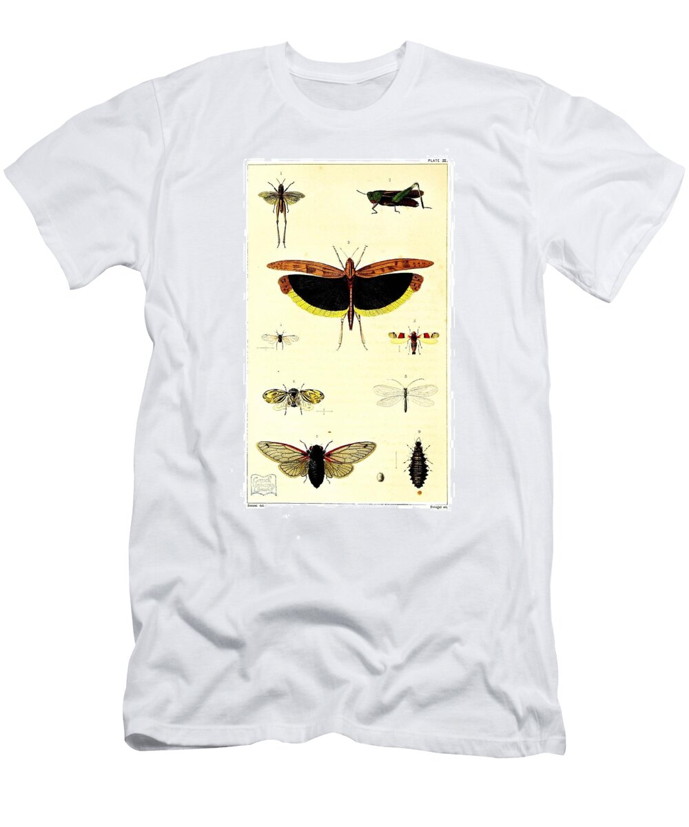 145 Insects Beautiful Nature Prints T-Shirt