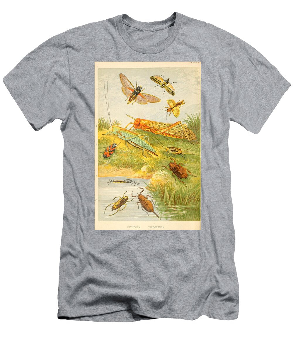 146 Insects Beautiful Nature Prints T-Shirt
