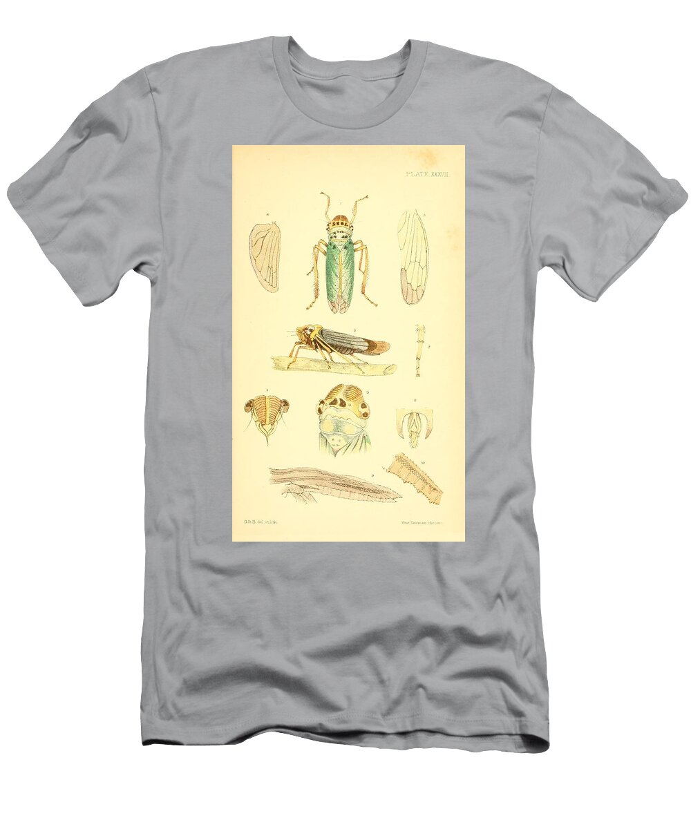 147 Insects Beautiful Nature Prints T-Shirt