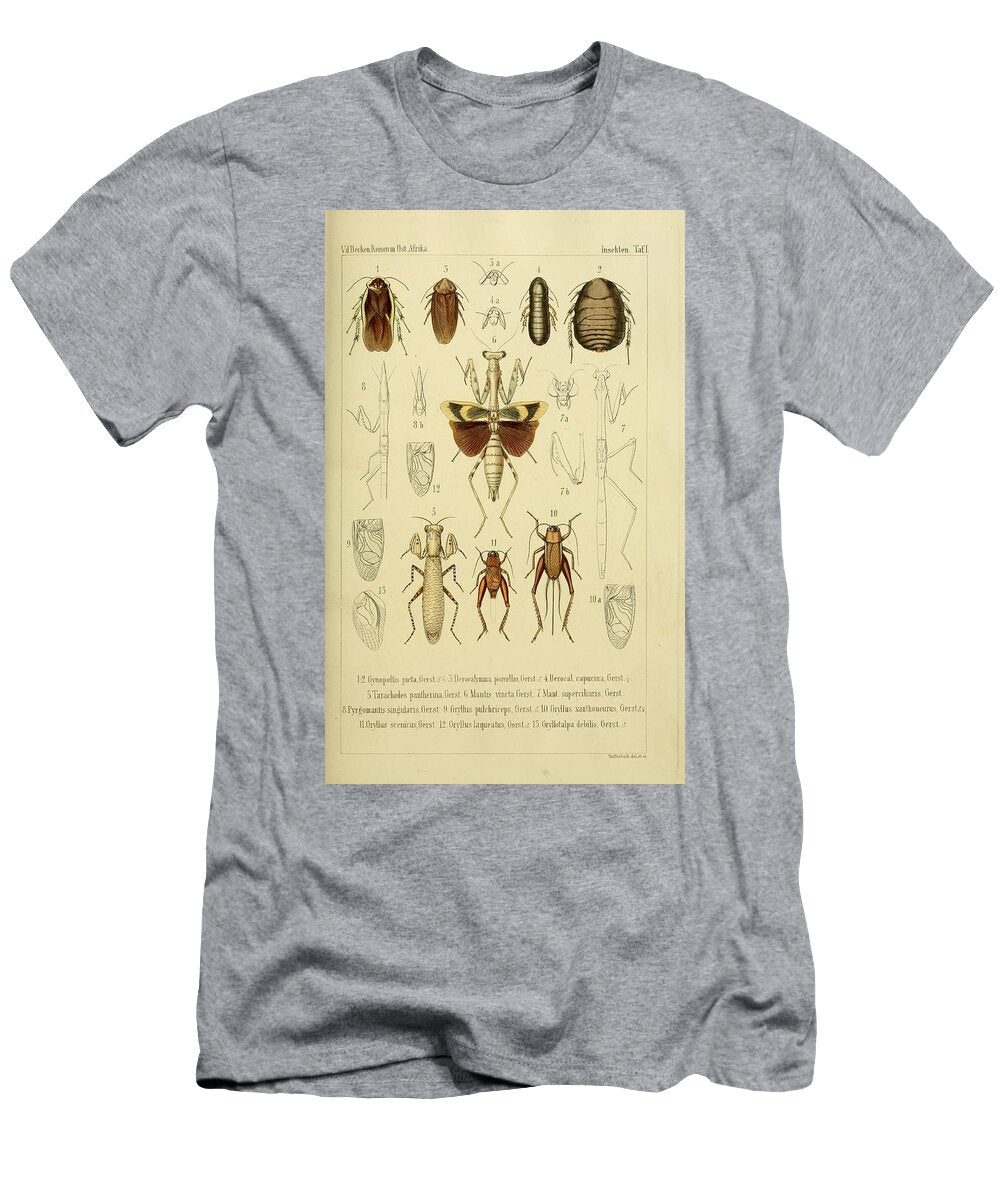 148 Insects Beautiful Nature Prints T-Shirt