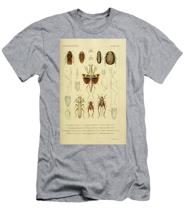148 Insects Beautiful Nature Prints T-Shirt