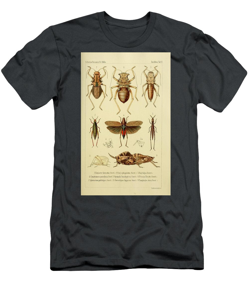149 Insects Beautiful Nature Prints T-Shirt
