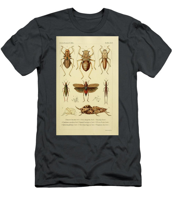 149 Insects Beautiful Nature Prints T-Shirt