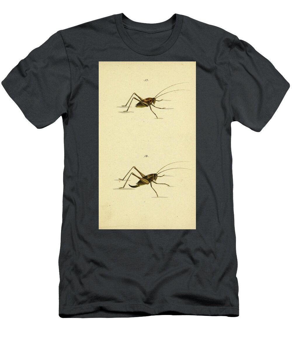 15 Insects Beautiful Nature Prints T-Shirt