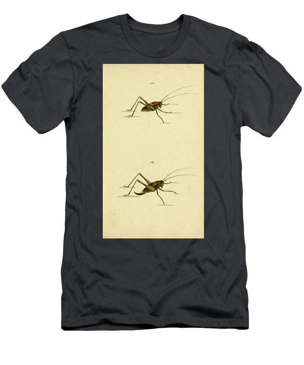 15 Insects Beautiful Nature Prints T-Shirt