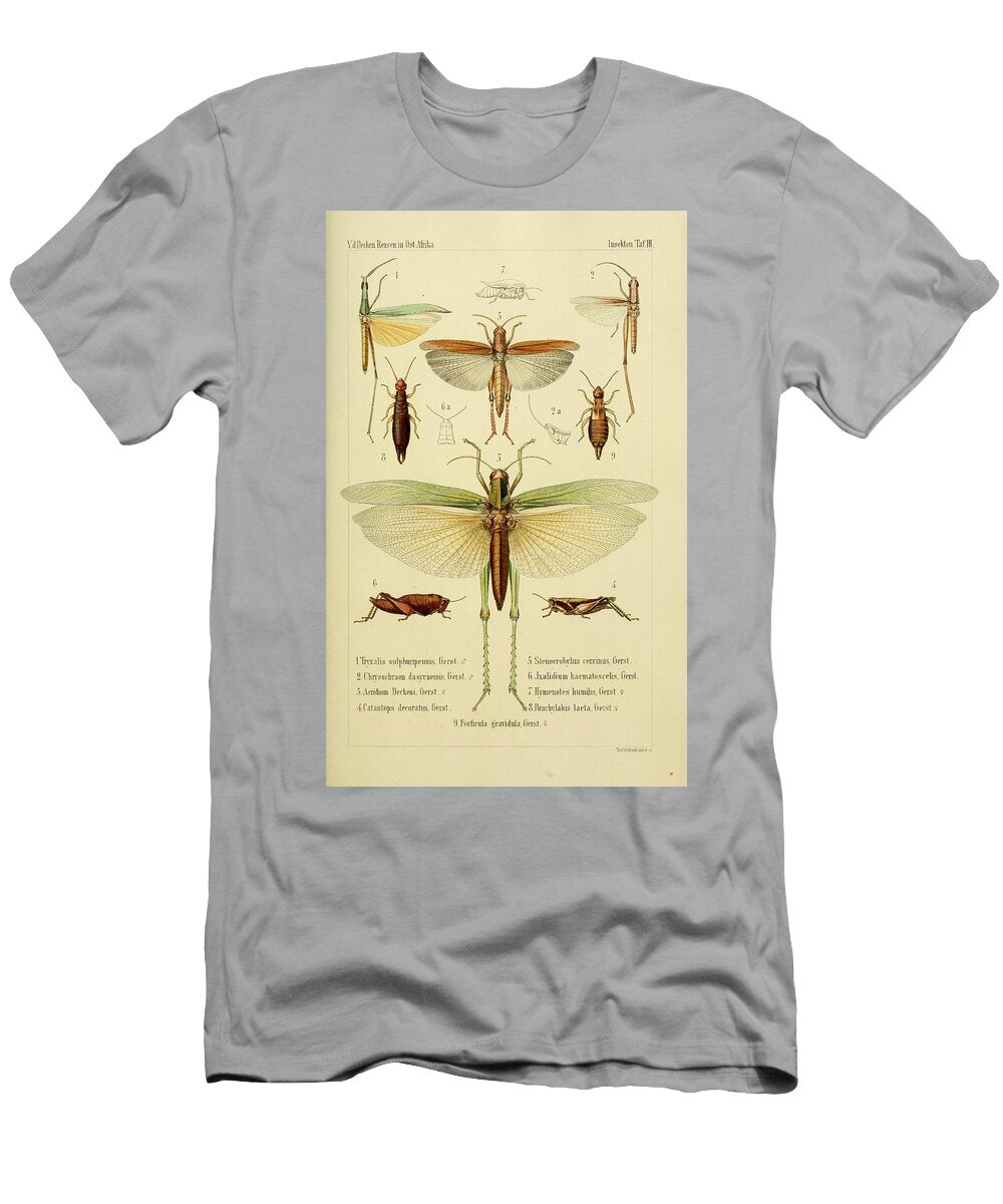 150 Insects Beautiful Nature Prints T-Shirt