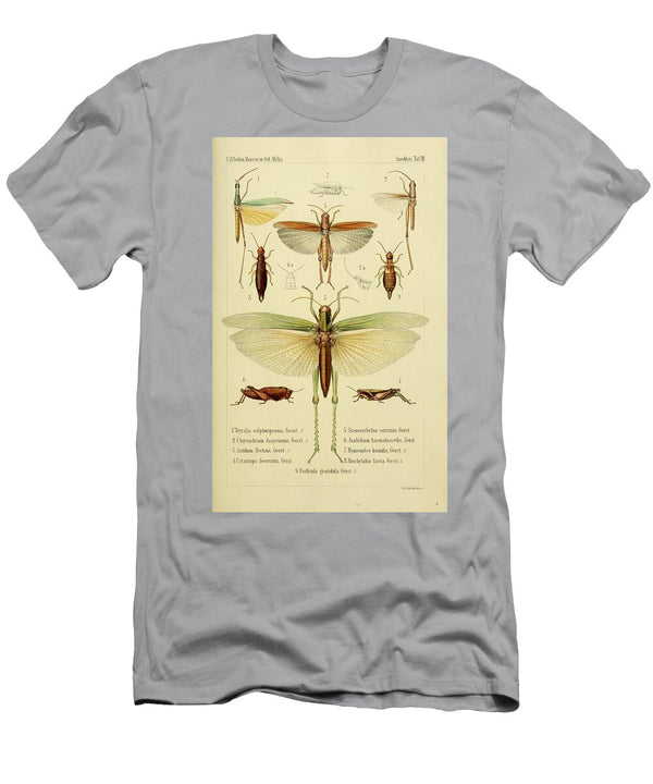 150 Insects Beautiful Nature Prints T-Shirt