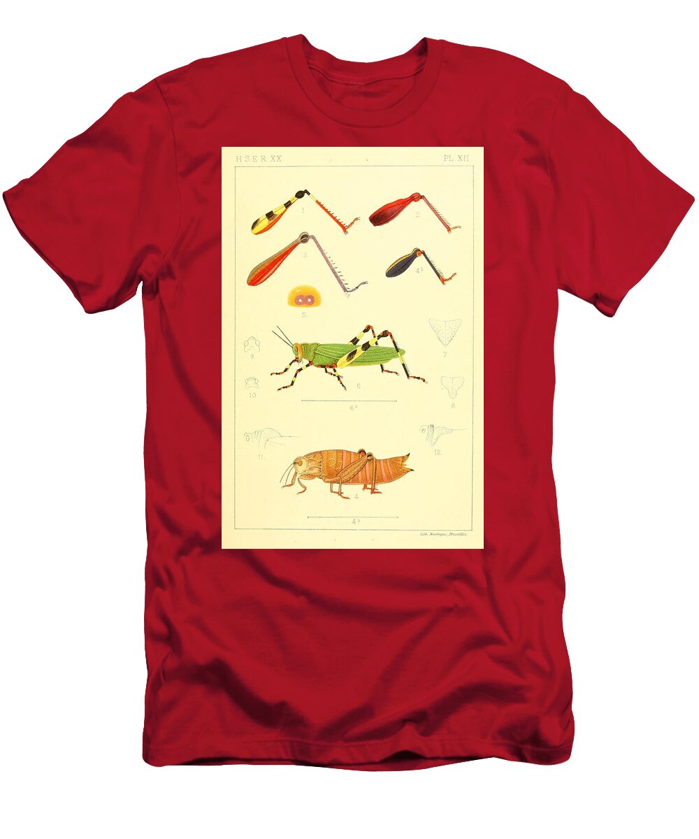 151 Insects Beautiful Nature Prints T-Shirt