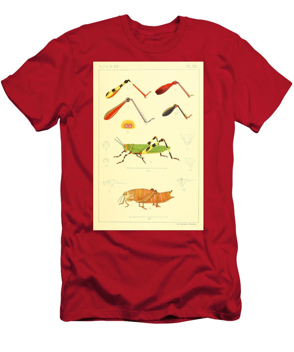 151 Insects Beautiful Nature Prints T-Shirt