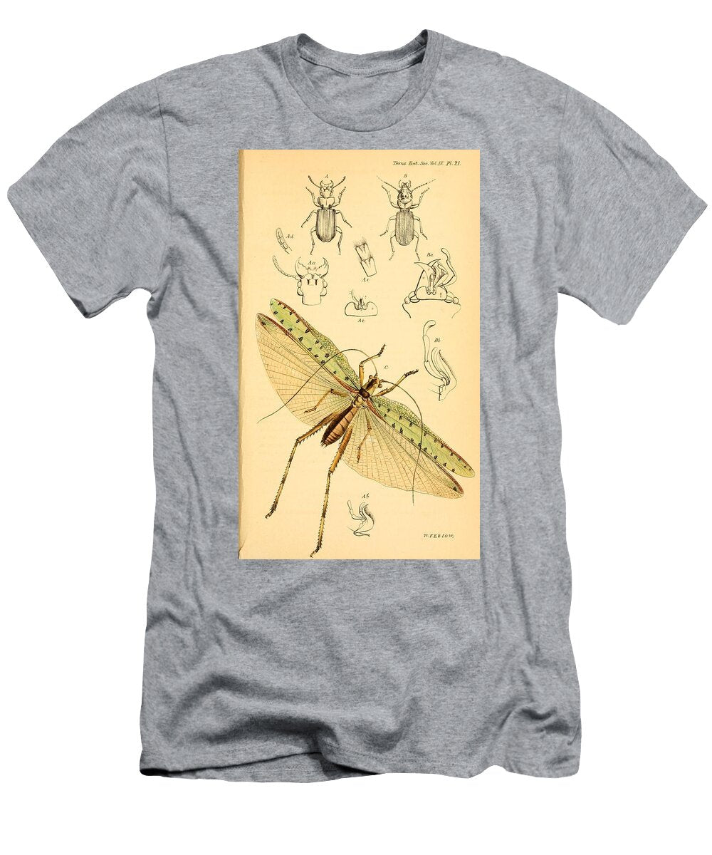 152 Insects Beautiful Nature Prints T-Shirt