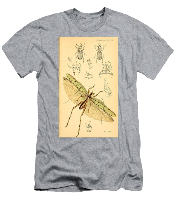 152 Insects Beautiful Nature Prints T-Shirt