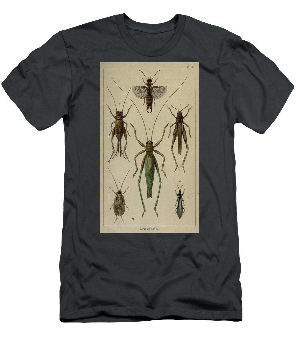 153 Insects Beautiful Nature Prints T-Shirt