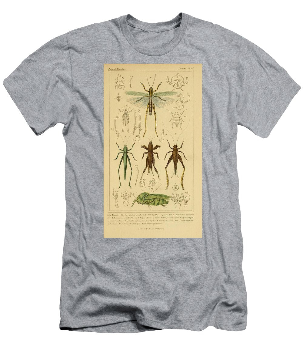 154 Insects Beautiful Nature Prints T-Shirt