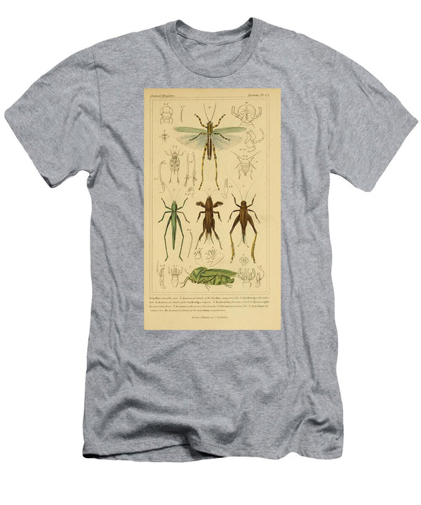 154 Insects Beautiful Nature Prints T-Shirt