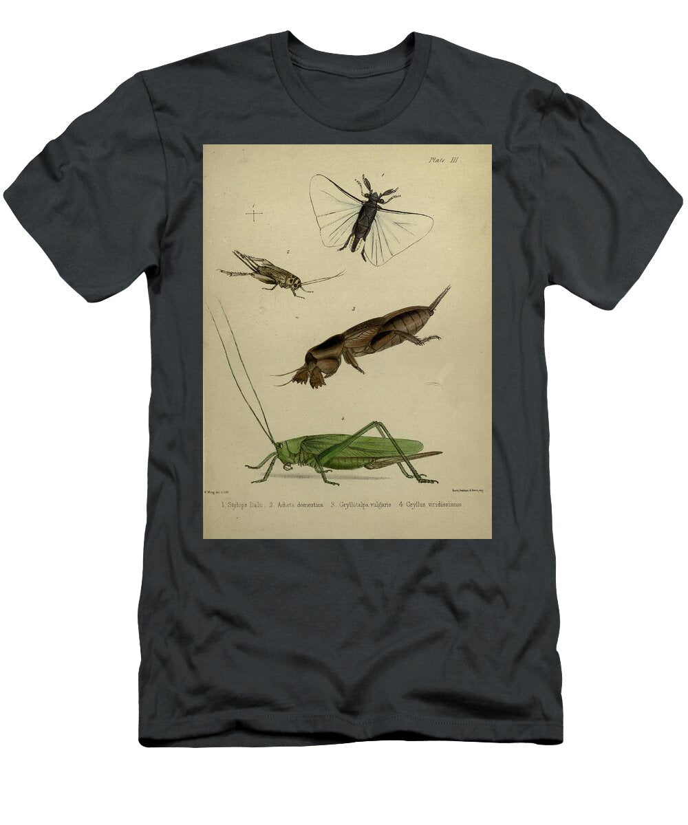 155 Insects Beautiful Nature Prints T-Shirt