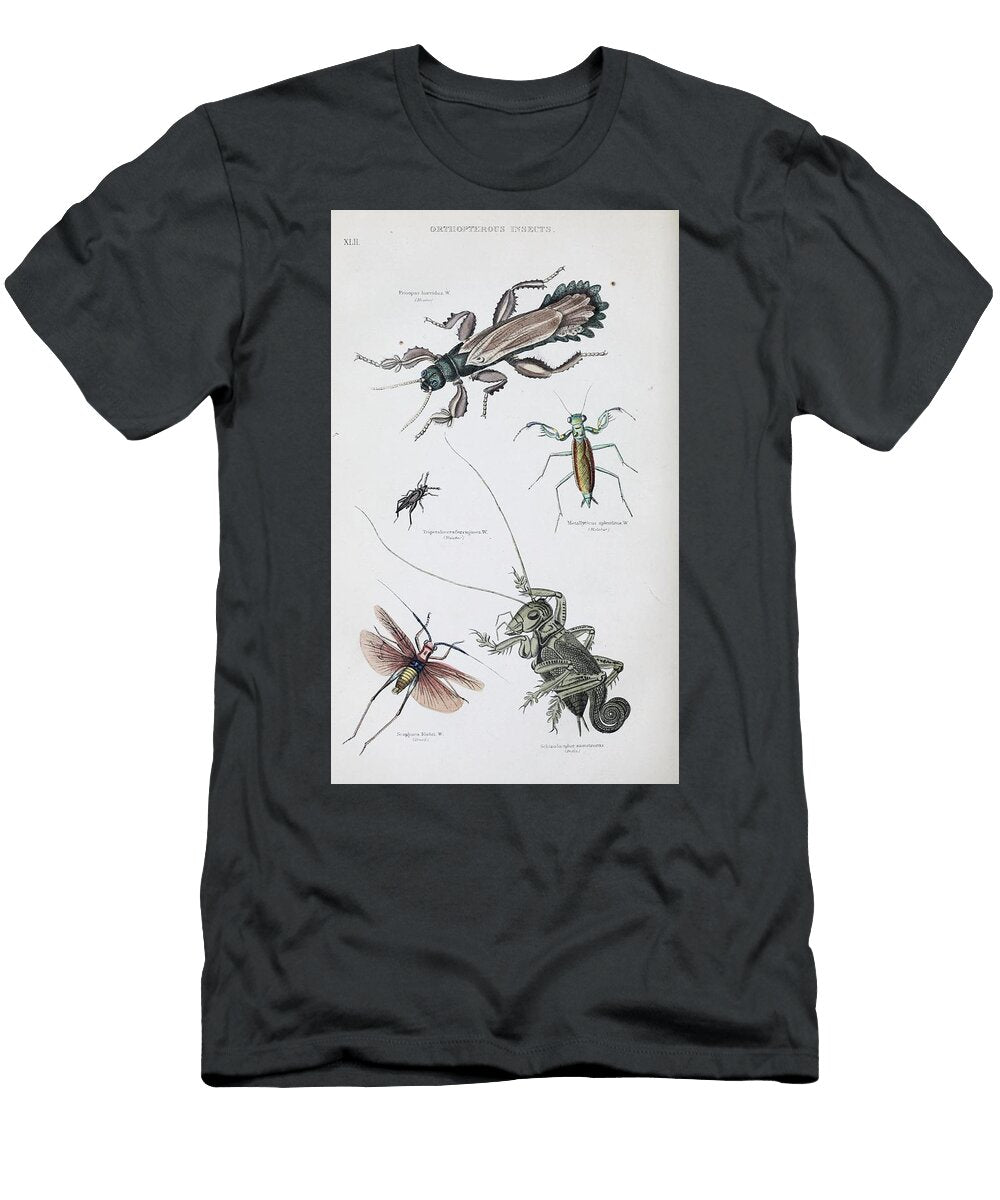156 Insects Beautiful Nature Prints T-Shirt