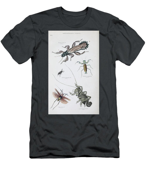 156 Insects Beautiful Nature Prints T-Shirt