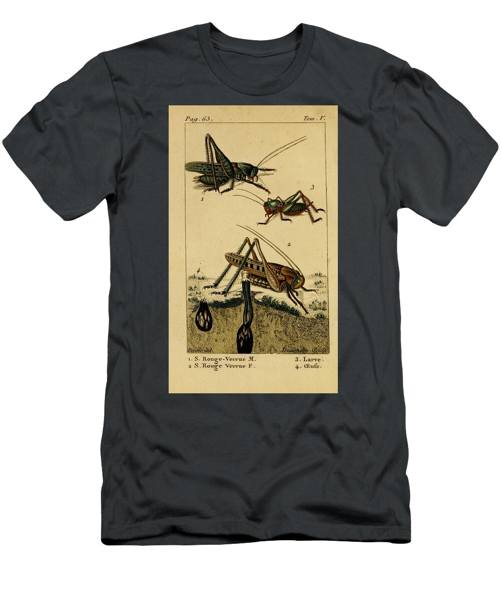 157 Insects Beautiful Nature Prints T-Shirt