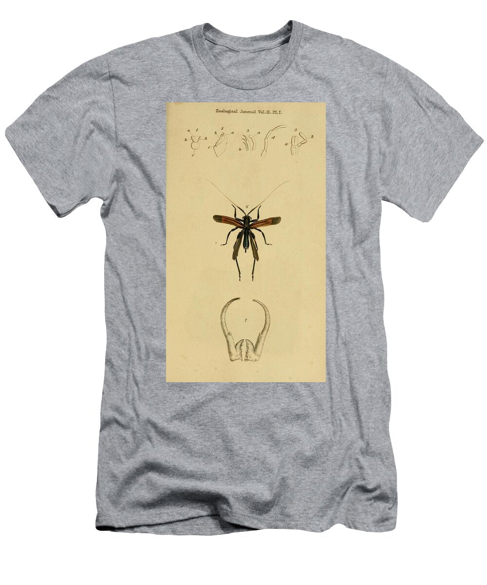 158 Insects Beautiful Nature Prints T-Shirt