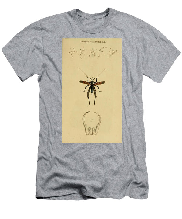 158 Insects Beautiful Nature Prints T-Shirt