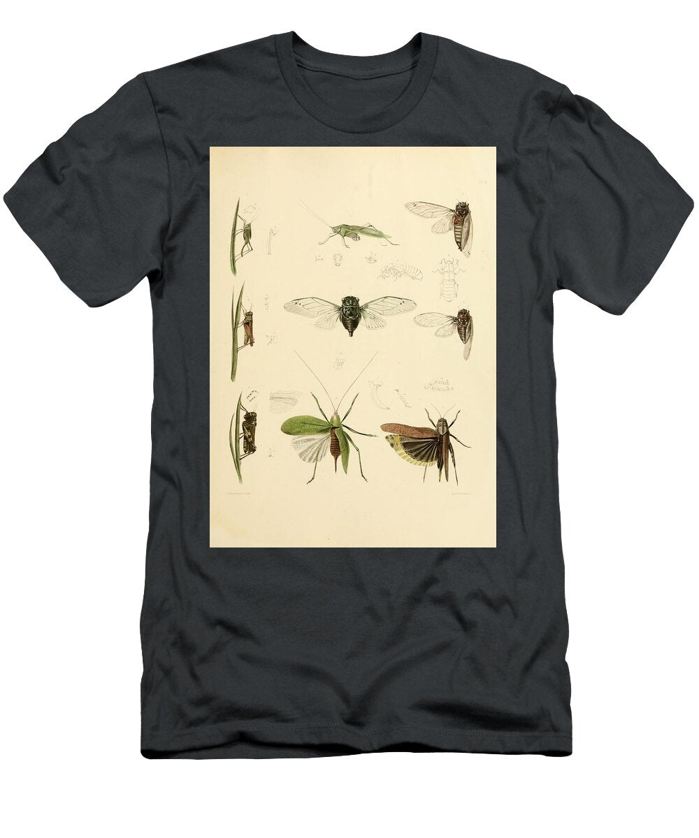 159 Insects Beautiful Nature Prints T-Shirt