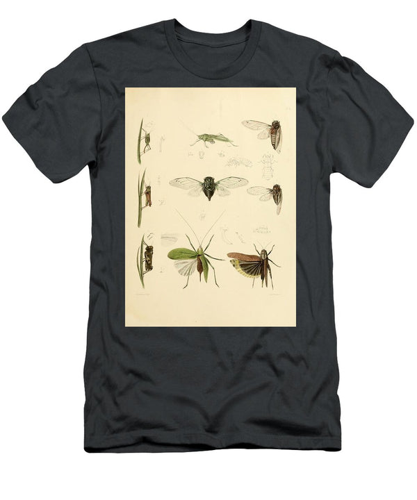 159 Insects Beautiful Nature Prints T-Shirt